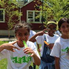 YSPPicnic194-11