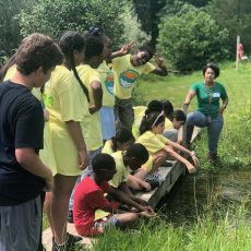 YSPSummer193-1