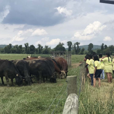 YSPSummer193-16